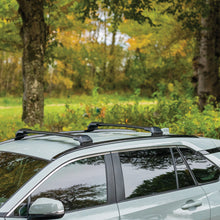 Load image into Gallery viewer, 8000171